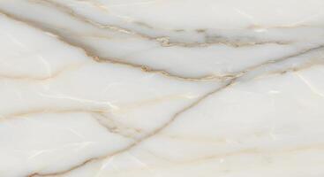 White Onyx Stone Texture with Brown Veins photo