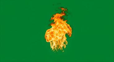 Flame Burning on Green Background photo