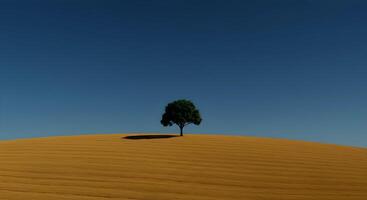 Single Tree on Hill Under Blue Sky photo