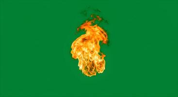 Fire Flame on Green Screen Background photo