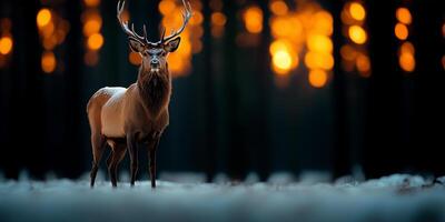 Majestic stag standing in winter forest at sunset, surrounded by snow and magical light. Nature and wildlife concept photo