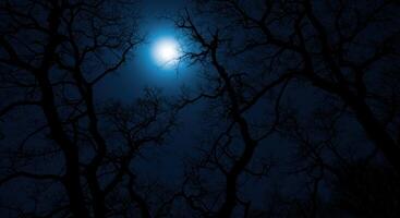 Moonlit Night Silhouetted Trees Under a Mystical Blue Moon photo