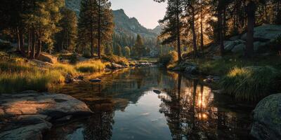 Beautiful river landscape in the mountains during golden hour showcasing trees and reflections photo