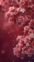 Winter blossoms contrast against a deep red background with delicate snowflakes gently falling in a serene setting photo