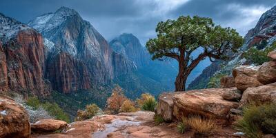 Snow-capped mountains and a resilient tree in a rocky landscape under a cloudy sky at Zion National Park photo