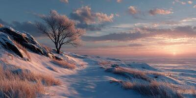 Snow-covered landscape at sunrise with a solitary tree and rocky terrain near the coastline photo