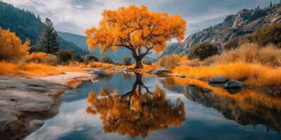 Autumn landscape featuring a vibrant orange tree reflected in a serene river surrounded by hills and rocky terrain photo