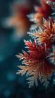 Vibrant autumn leaves glisten with dew in a forest setting during the early morning light photo