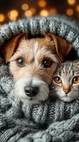Dog and cat cuddling together in a cozy gray blanket with warm lights in the background photo