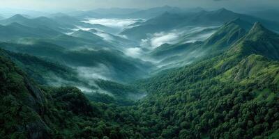Lush green mountains enveloped in mist during early morning light over a beautiful landscape photo