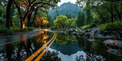 Scenic wet road reflecting trees and mountains during twilight in a peaceful valley photo