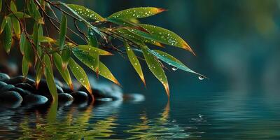 Serenity of bamboo leaves glistening with morning dew by a tranquil water surface in a natural setting photo