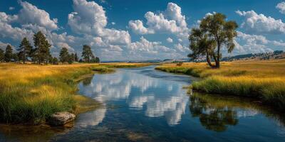 Lush riverside landscape with vibrant grass and cloud reflections in the water during midday photo