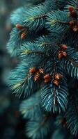 Pine tree branches with cones surrounded by soft green foliage in a peaceful natural setting photo