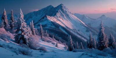 Snow-covered mountains with pine trees at twilight in a peaceful winter landscape in the wilderness photo