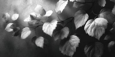 Black and white leaves gracefully illuminated against a textured background, capturing natural beauty and subtle elegance photo