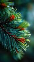 Close-up view of pine tree branches with fresh green needles and droplets of water in a serene forest setting during early morning light photo