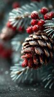 Pine cone and red berries covered in frost with evergreen branches in soft focus during winter season photo