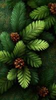 Decorative arrangement of evergreen branches and pine cones on textured green background during winter season photo