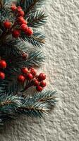 Decorative winter foliage with berries on textured white background for holiday season photo