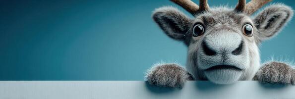 Curious reindeer peeking over a white surface against a blue background in a playful indoor setting photo