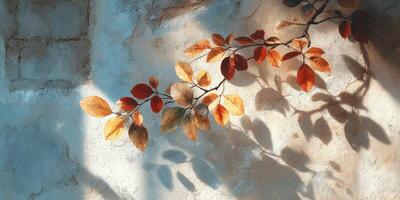 Autumn leaves casting shadows on a textured wall in soft afternoon light photo