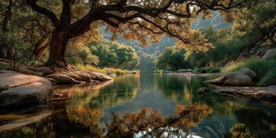 Serene river landscape at dusk with mirrored reflections and lush greenery along the banks photo