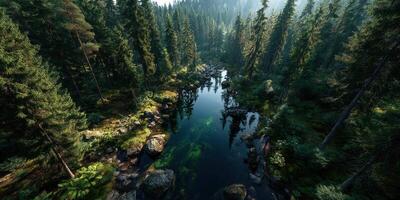 Lush green forest with a serene river reflecting trees during daylight photo