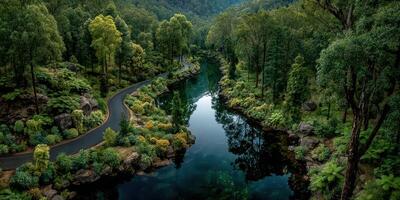Beautiful winding river surrounded by lush greenery in a serene natural landscape during daytime photo