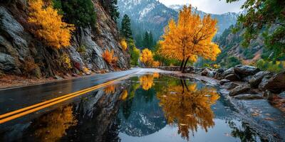 Autumn colors reflected in a wet road through a mountainous landscape after rain photo