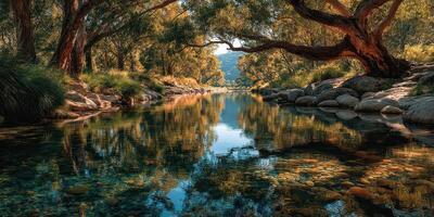 Serene river flows through lush trees in a peaceful natural landscape during late afternoon photo