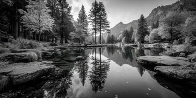 Tranquil reflection of trees in a serene river surrounded by mountains in black and white photo