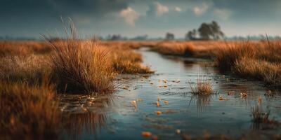 Tranquil wetland landscape with long grass and reflective water under a stormy sky photo