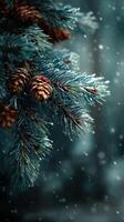 Snowflakes gently fall on frosty evergreen branches adorned with pine cones in a serene winter forest setting photo