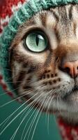 Close-up of a cute cat wearing a colorful knitted hat with bright green eyes and detailed fur patterns at home photo