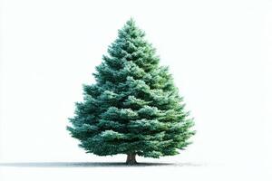 Lush evergreen tree stands prominently against a light background, showcasing its rich green foliage in a serene setting photo