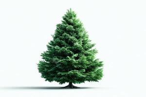 Green coniferous tree standing alone against a plain white background showcasing its lush needles and symmetrical shape photo