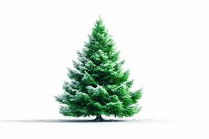 Beautiful snowy evergreen tree stands alone in a winter landscape showcasing seasonal charm and tranquility photo