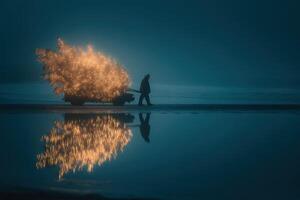 Winter evening stroll with a festive tree reflected in calm waters during a foggy atmosphere photo