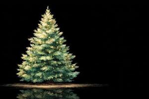 Decorative evergreen tree illuminated with lights stands against a black background during the holiday season photo