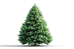Evergreen tree with lush green foliage perfect for holiday decorations indoors or outdoors during winter season photo