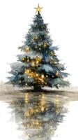 Evergreen Christmas tree adorned with golden lights reflecting on a snowy surface at twilight photo