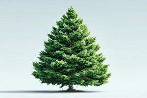 Evergreen tree stands tall against a light background showcasing vibrant green foliage photo