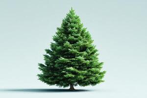 Evergreen fir tree showcasing vibrant green foliage against a simple background in natural lighting for a serene atmosphere photo