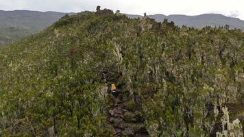 Trekkers climbing a steep path through Kilimanjaro wild terrain video