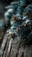 Snow falls softly on pine branches during winter in a serene forest, showcasing nature's beauty and tranquility photo