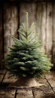 Lush green Christmas tree decorated with burlap at rustic wooden background during winter festivities photo