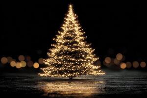 Twinkling Christmas tree adorned with lights in a dark setting during festive season photo