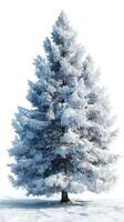 Snow-covered evergreen tree stands tall against a bright winter sky in a serene landscape photo