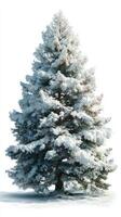 Snow-covered evergreen tree stands tall in a serene winter landscape with a bright background photo